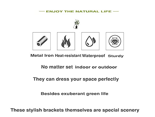 Citrine Garden 4 Leaves Style Metal Hanging Plant Brackets 12 inches x 9 inches, Pack of 2, Wall Mount