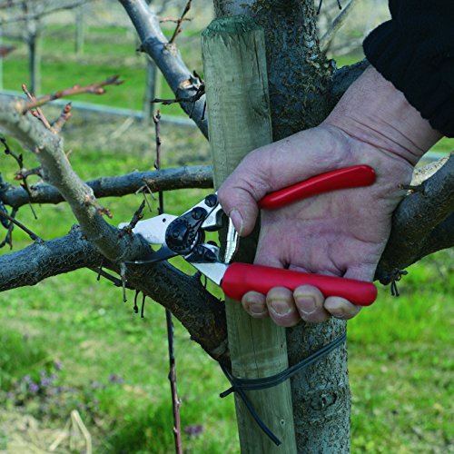 Felco Pruning Shears (F 6) - High Performance Swiss Made One-Hand Garden Pruners