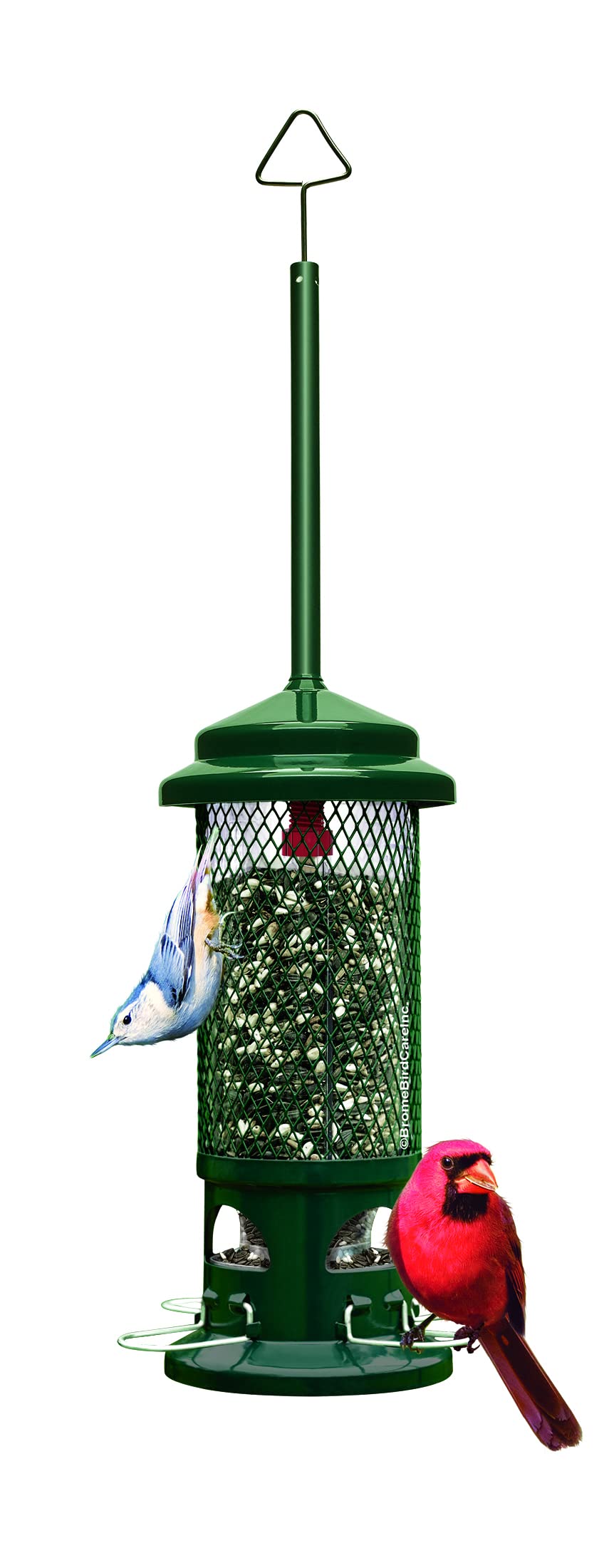 Squirrel Buster Standard Squirrel-proof Bird Feeder