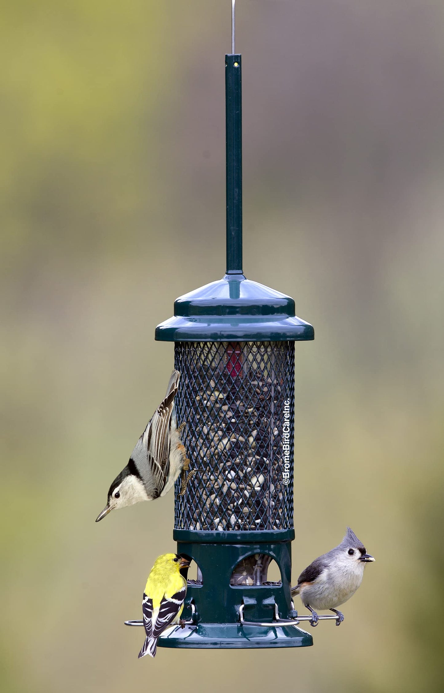 Squirrel Buster Standard Squirrel-proof Bird Feeder