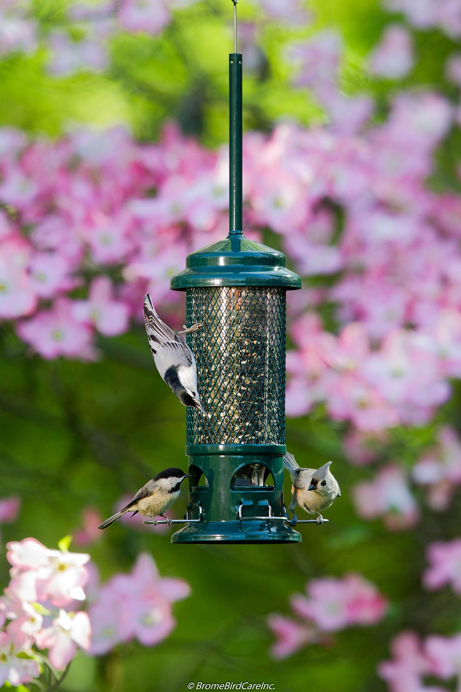 Bird Feeders