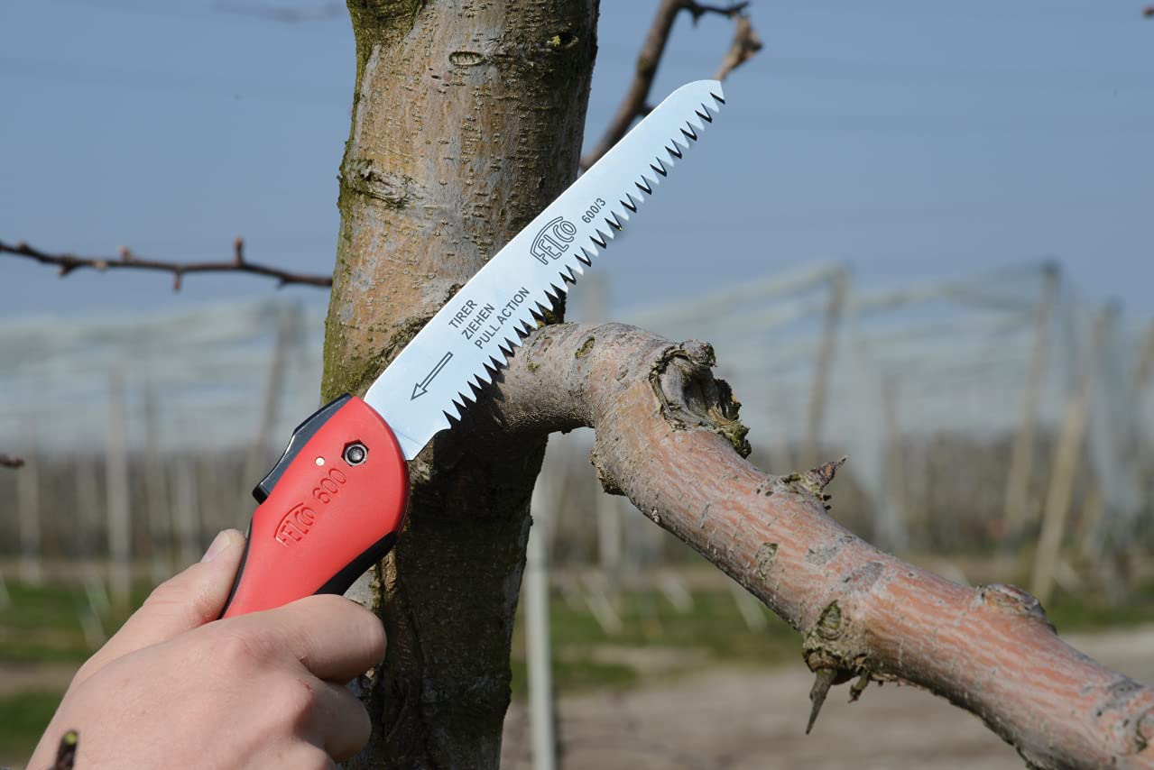 Felco Folding Saw (F 600) - Classic Tree Pruning Saw