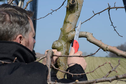 Felco Folding Saw (F 600) - Classic Tree Pruning Saw