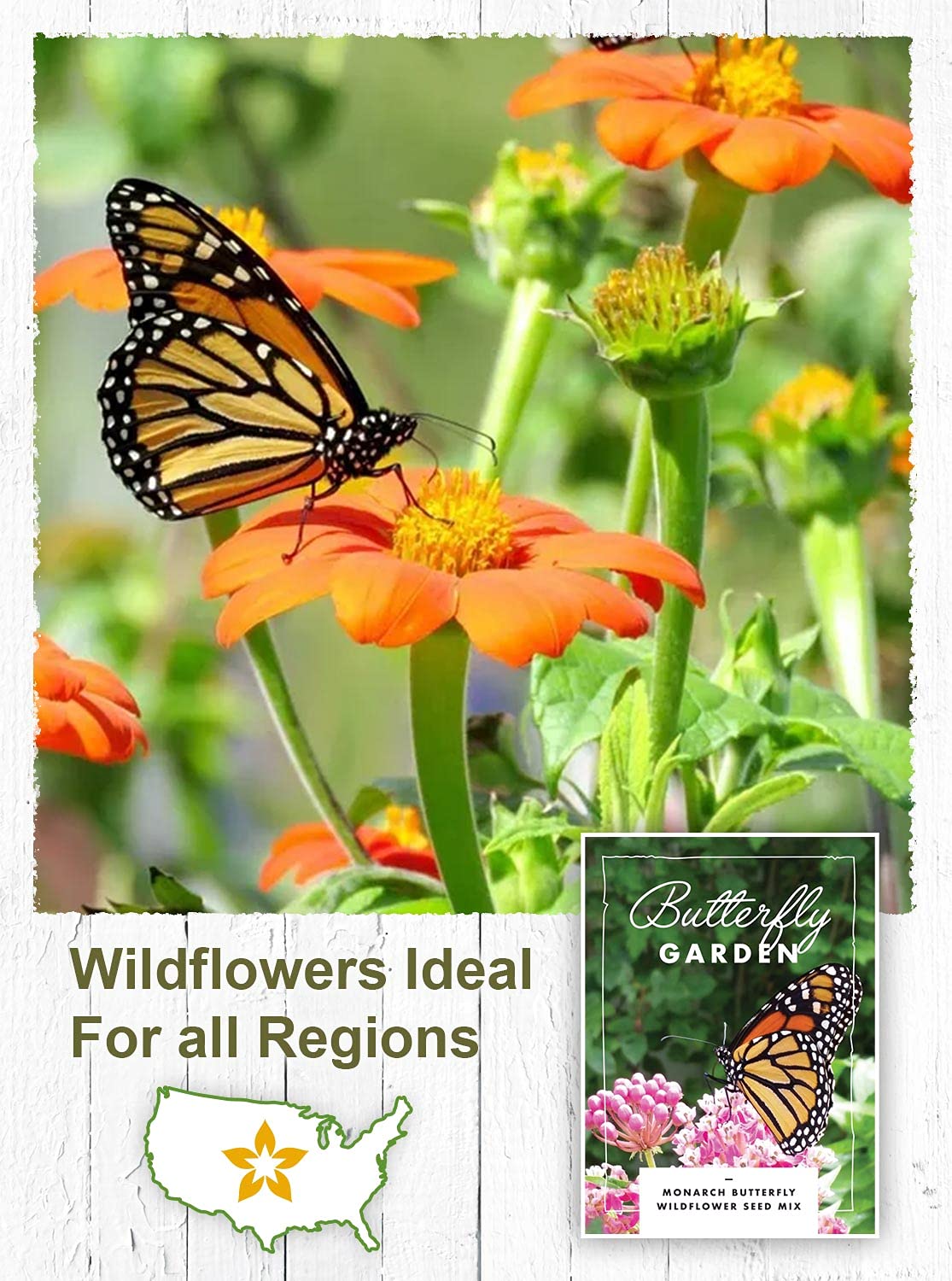 American Meadows Wildflower Seed Packets ''Butterfly Garden'' (Pack of 20) - Pollinator Wildflower Seed Mix