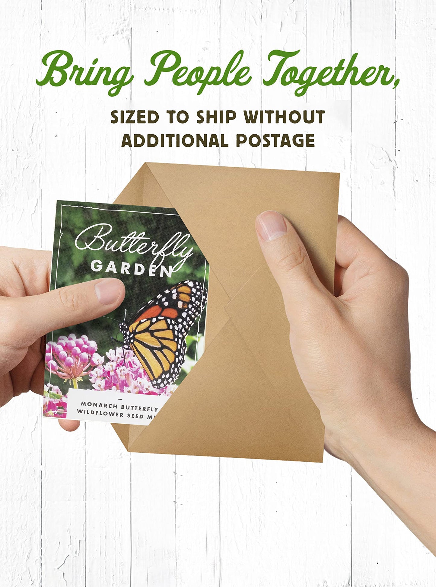 American Meadows Wildflower Seed Packets ''Butterfly Garden'' (Pack of 20) - Pollinator Wildflower Seed Mix